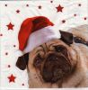 Serviette papier Chien et bonnet de Noel 33 cm X 33 cm