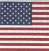 Serviette papier drapeau Américain 33 cm X 33 cm 3 plis