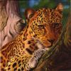 Serviette papier Guépard 33 cm X 33 cm 3 plis