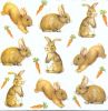 Serviette papier lapins et carottes 33 cm X 33 cm 3 plis