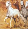 Serviette papier motif chevaux sauvages 33 cm X 33 cm 3 plis