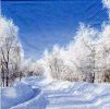 Serviette papier paysage hiver 33 cm X 33 cm 3 plis