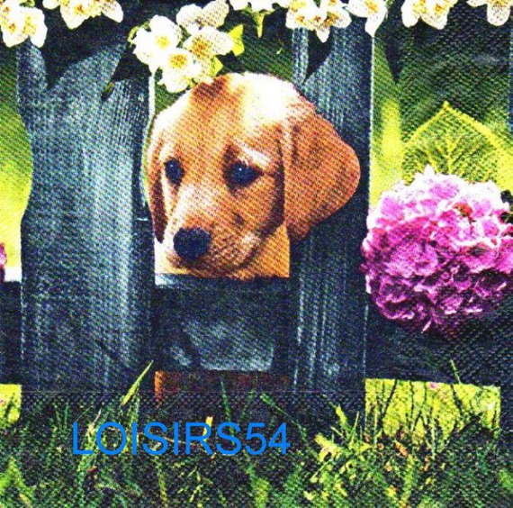 Serviette papier chien Basset - 33 cm x 33 cm