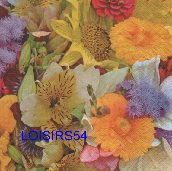 Serviette papier fleurs des champs 33 cm x 33 cm 3 plis