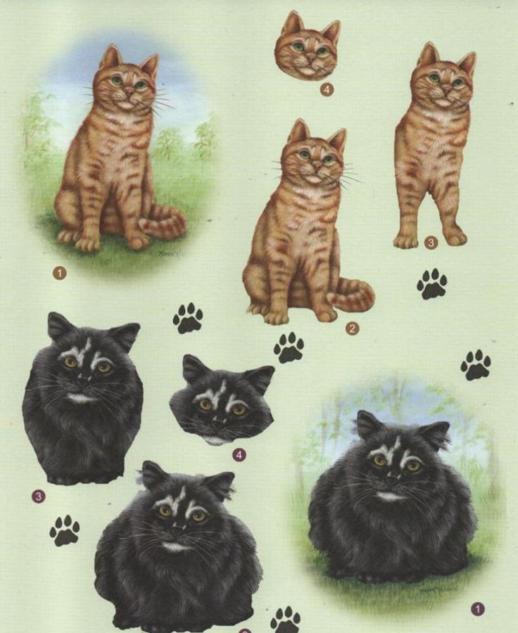 Feuille 3D chat noir et brun pour carte 3D