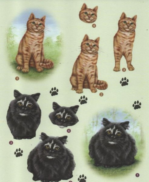 Feuille 3D chat noir et brun pour carte 3D