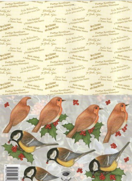 Feuille 3D 2 oiseaux et gui de Noël