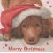 Serviette papier chien et Noël 33 cm X 33 cm 3 plis