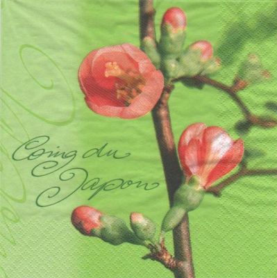 Serviette papier Coing du Japon 33 cm X 33 cm 3 plis