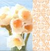 Serviette papier fleurs jonquilles 33 cm X 33 cm 3 plis