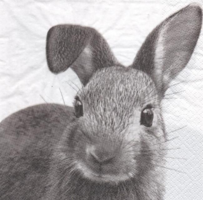 Serviette papier lapin gris 33 cm X 33 cm 