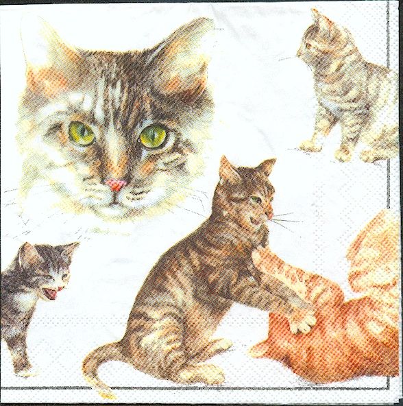 Serviette papier  motif chats joueurs 33 cm X 33 cm 3 plis