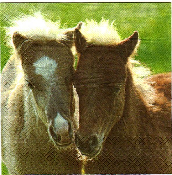 Serviette papier 2 poneys 33 cm X 33 cm 3 plis