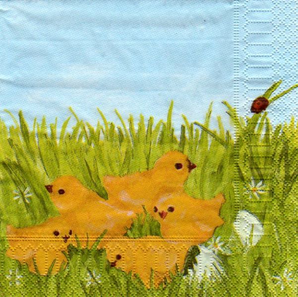 Animaux : Serviette papier Poussins jaunes 33cm X 33 cm 3 plis