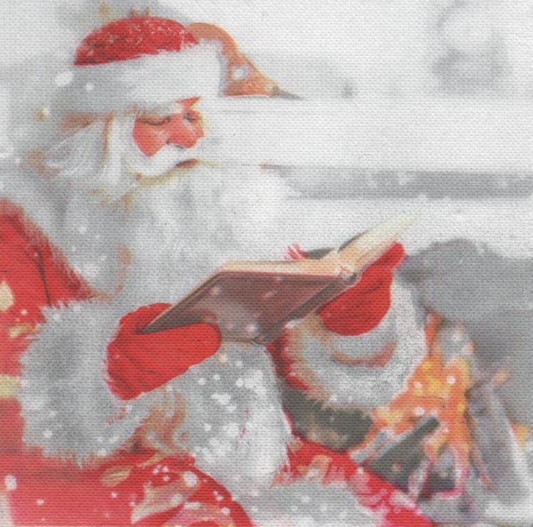 Serviette papier Père Noël et livre 38 cm X 38 cm 2 plis