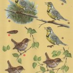Feuille 3D oiseau brun pour carte 3D