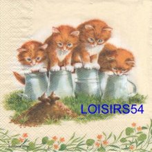 Serviette papier 4 chatons