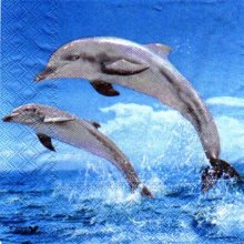 Serviette papier 2 dauphins 33cm X 33 cm 3 plis