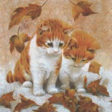Serviette papier 2 chatons 33cm X 33 cm 3 plis