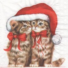 Serviette papier 2 chats et bonnet 33cm X 33 cm 3 plis