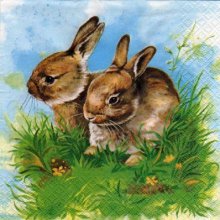 Serviette papier 2 lapins dans l'herbe 33cm X 33 cm 3 plis