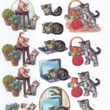 Feuille 3D prédécoupé 2 chatons