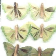 Sachet de 6 papillons 2 cm