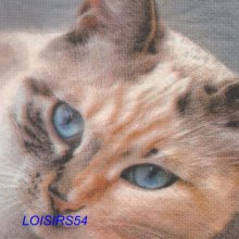 Serviette papier chat brun - 33 cm x 33 cm