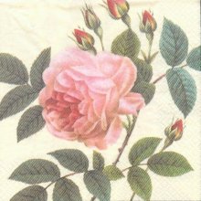 Serviette papier motif bouton de rose 33cm X 33 cm 3 plis