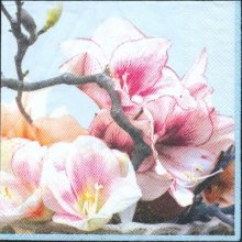 Serviette papier motif fleurs cerise de 33 cm X 33 cm 3 plis