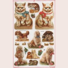Stickers 3 D chats et chien