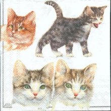 Serviette papier chats joueurs 25 cm X 25 cm 3 plis
