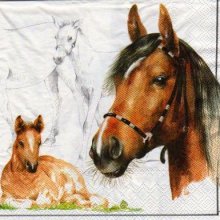 Serviette papier chevaux et poney 33 cm X 33 cm 3 plis