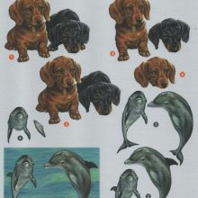 Feuille 3D chiens et dauphins