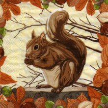 Serviette papier ecureuil 33cm X 33 cm 3 plis