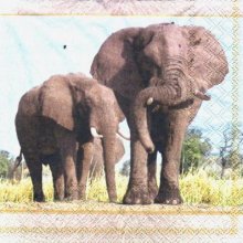 Serviette papier Famille Eléphants 33 cm X 33 cm 3 plis