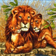 Serviette papier Famille Lions 33cm X 33 cm 3 plis