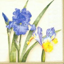 Serviette papier motif fleurs bleu de 33 cm X 33 cm 3 plis