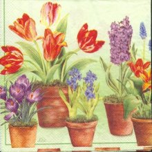 Serviette papier motif jacinthe-tulipe 33 cm X 33 cm 3 plis