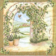 Serviette papier  motif jardin d'été 33 cm X 33 cm 3 plis