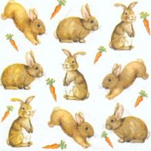 Serviette papier lapins et carottes  33 cm X 33 cm 3 plis