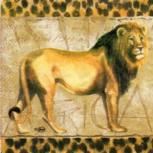 Serviette papier Lion Afrique 33cm X 33 cm 3 plis
