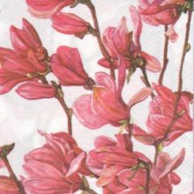 Serviette papier magnolia fleurs 25 cm X 25 cm 3 plis