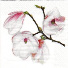 Serviette papier fleurs magnolia blanc 33 cm X 33 cm 3 plis