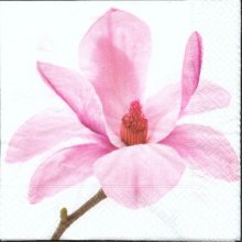Serviette papier motif fleurs magnolia 33 cm X 33 cm 3 plis