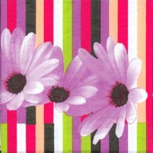 Serviette papier motif marguerite violet 33 cm X 33 cm 