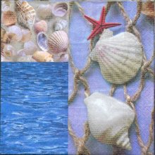 Serviette papier mer et coquillages de 33 cm X 33 cm 3 plis