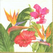 Serviette papier fleurs oiseau paradis 25 cm X 25 cm 3 plis