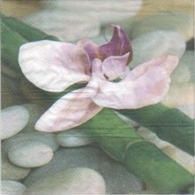Serviette papier orchidée et bambou 33cm X 33 cm 3 plis