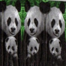 Mouchoir en papier Panda et son petit 20 cm X 20 cm 3 plis